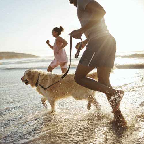 People & Dog